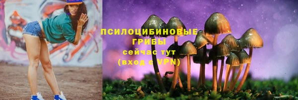 спиды Абдулино
