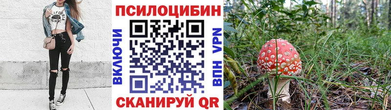 Псилоцибиновые грибы Psilocybe Александровск