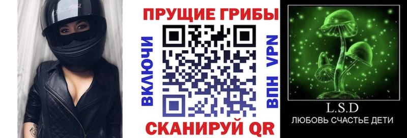 Псилоцибиновые грибы Psilocybe  ОМГ ОМГ как зайти  Александровск 
